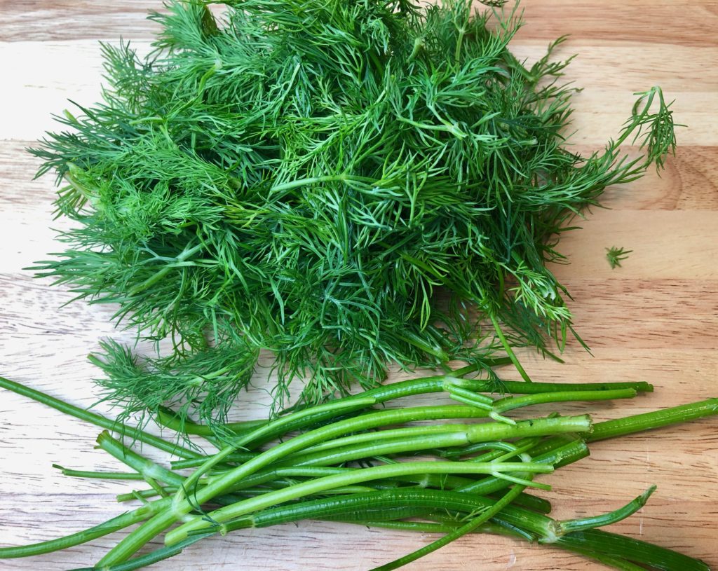 Dill leaves for citrus dill 
