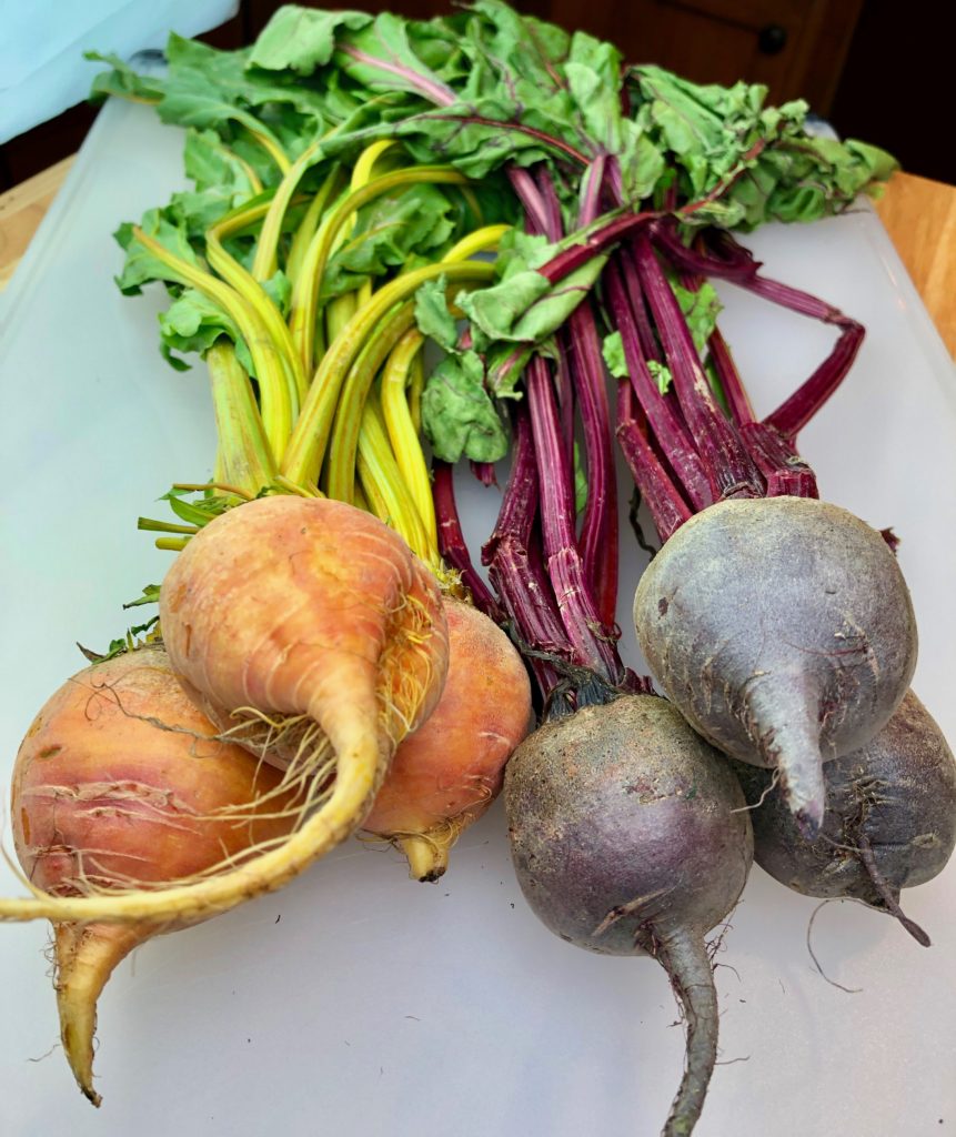 Red & Golden Beets