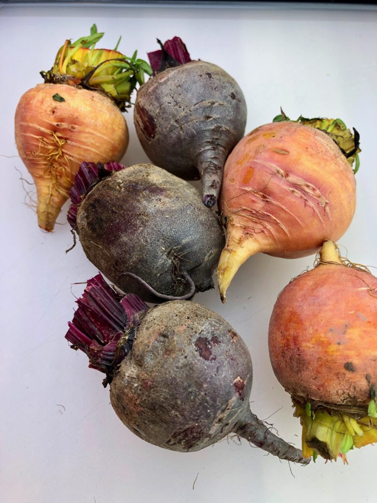trimmed red and golden beets