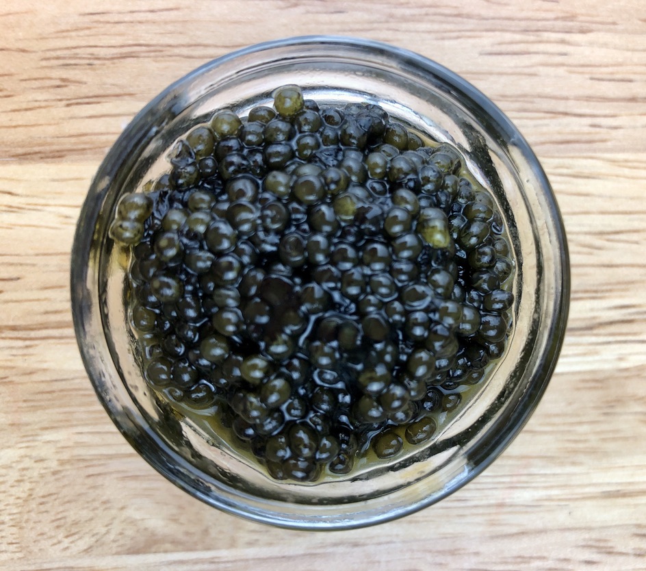 Oestra Caviar