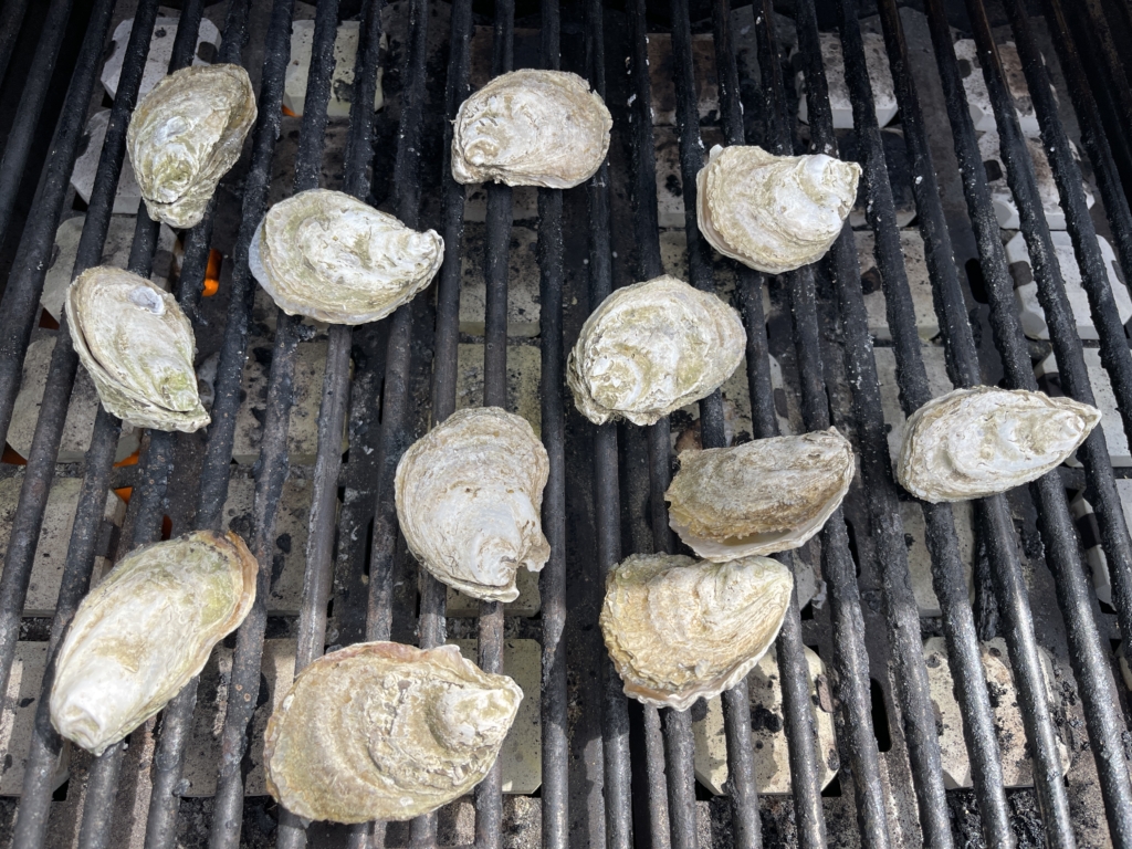 Heat grill on high heat. Gently place oysters onto the grill, flat side up, if possible. Close the lid and let cook for approximately 3-4 minutes, or until the shells have opened slightly. For the juiciest oysters, you’ll want to remove as close as possible to when the shell opens.