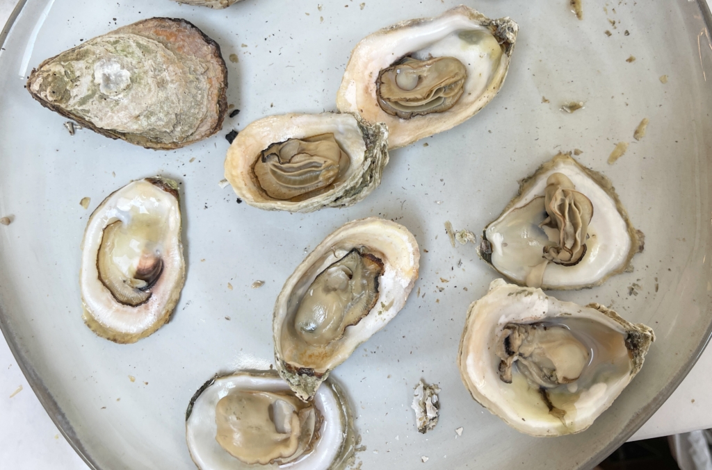 Allow oysters to cool slightly so you can comfortably open the shells and remove the top, flat shell, keeping the oyster in the deeper part of the shell. Some of the shells will be easy to separate with your hands and others will require a wee-bit more grip so I suggest using a kitchen towel. The goal is to retain as much of the oyster liquid as possible so take your time with the process!