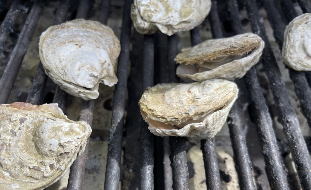For the juiciest oysters, you’ll want to remove as close as possible to when the shell opens. As oysters open, transfer them to a large plate. Allow oysters to cool slightly so you can comfortably open the shells and remove the top, flat shell, keeping the oyster in the deeper part of the shell. Some of the shells will be easy to separate with your hands and others will require a wee-bit more grip so I suggest using a kitchen towel. The goal is to retain as much of the oyster liquid as possible so take your time with the process!